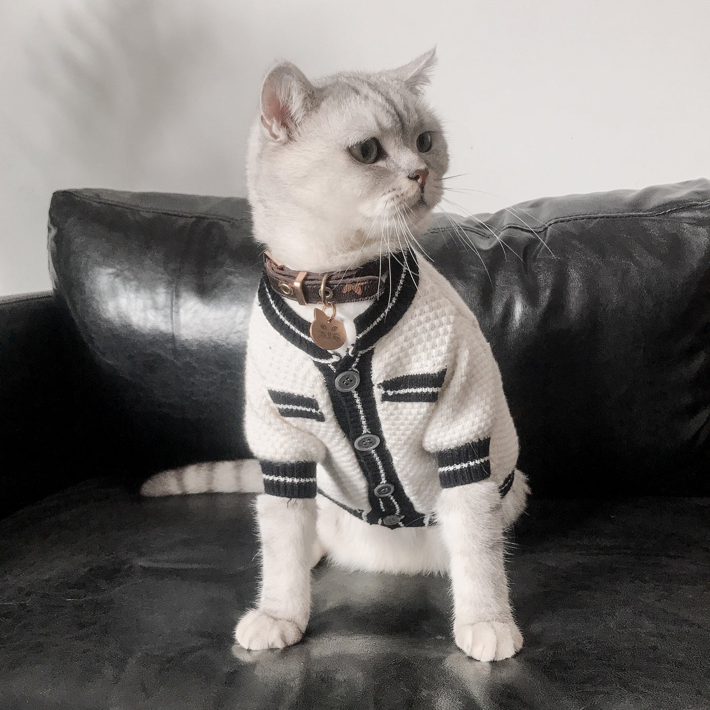 
                  
                    DigiPetz™ |  Stylish White And Black Attire For Cats | Cat Clothes
                  
                