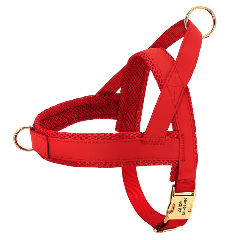 
                  
                    DigiPetz™ | Durable, Secure Dog Harness For Comfort And Safety | Dog Harness
                  
                