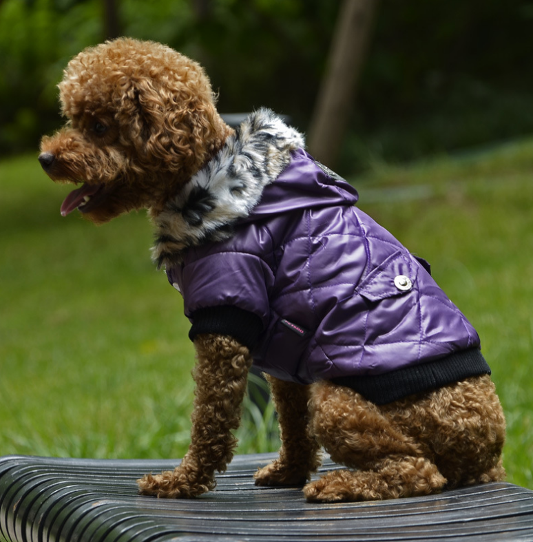 
                  
                    DigiPetz™ | GlobalPaws Winter Chic Fur Coat | Dog Clothing
                  
                