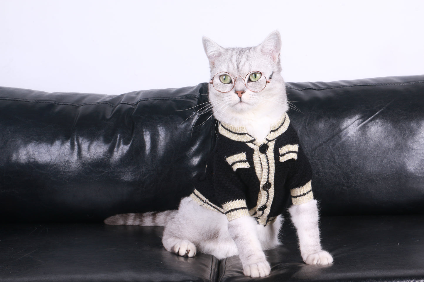 
                  
                    DigiPetz™ |  Stylish White And Black Attire For Cats | Cat Clothes
                  
                
