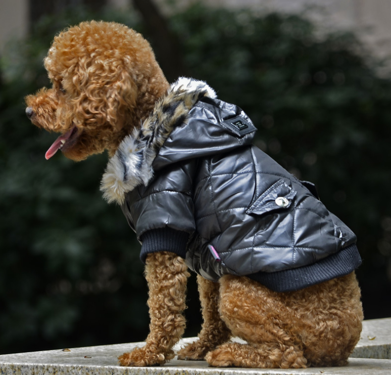 
                  
                    DigiPetz™ | GlobalPaws Winter Chic Fur Coat | Dog Clothing
                  
                