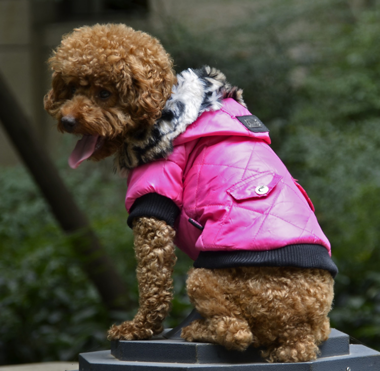 
                  
                    DigiPetz™ | GlobalPaws Winter Chic Fur Coat | Dog Clothing
                  
                