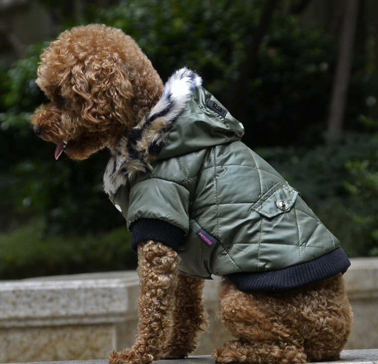 
                  
                    DigiPetz™ | GlobalPaws Winter Chic Fur Coat | Dog Clothing
                  
                