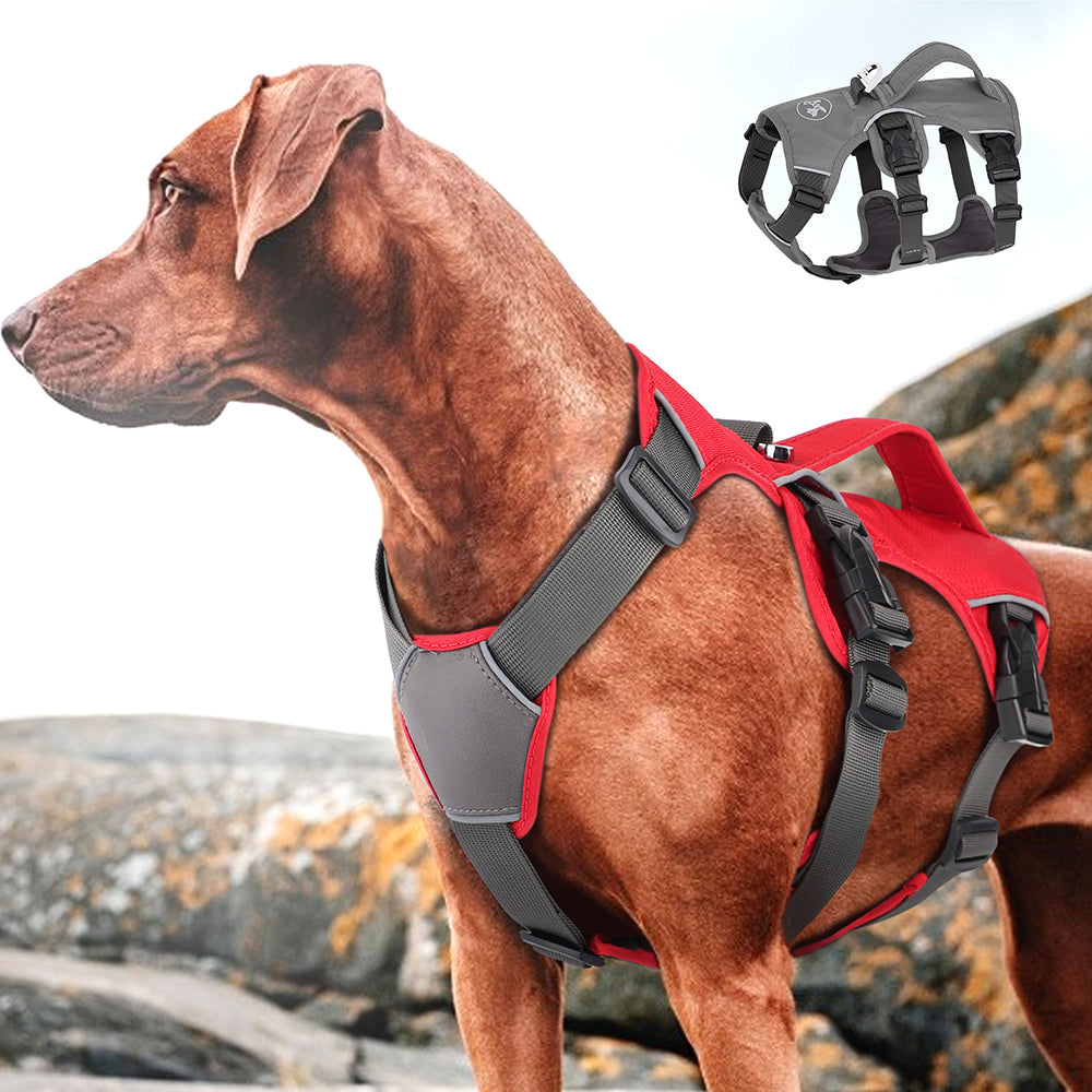 
                  
                    DigiPetz™ | Stylish, Safe Dog Harness For Comfortablility And Uniqueness | Dog Harness
                  
                