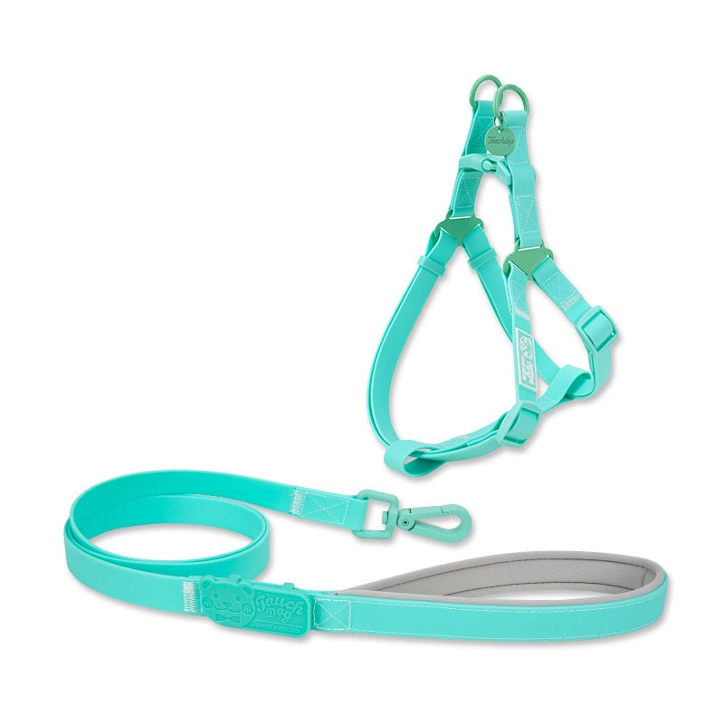 
                  
                    DigiPetz™ | Vibrant, Waterproof PVC Collar For Active Pets | Dog Collars and Leashes
                  
                