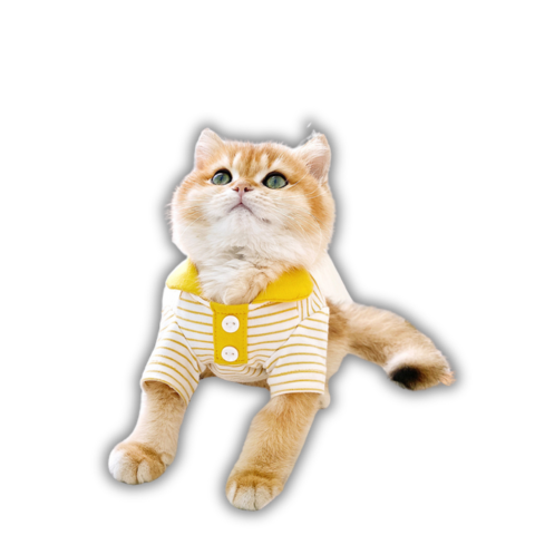 
                  
                    DigiPetz™ |  PurrPrep Stripes Kitty Polo For Cats | Cat Clothes
                  
                