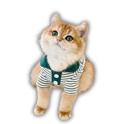 
                  
                    DigiPetz™ |  PurrPrep Stripes Kitty Polo For Cats | Cat Clothes
                  
                