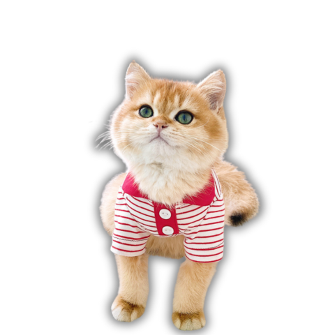 
                  
                    DigiPetz™ |  PurrPrep Stripes Kitty Polo For Cats | Cat Clothes
                  
                