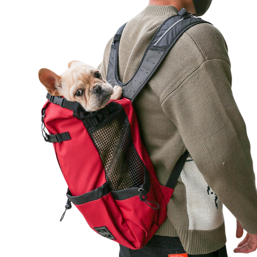 DigiPetz™ |  Dual-Shoulder Travel Companion Outdoor Dog Carrier Backpack | Dog Travel